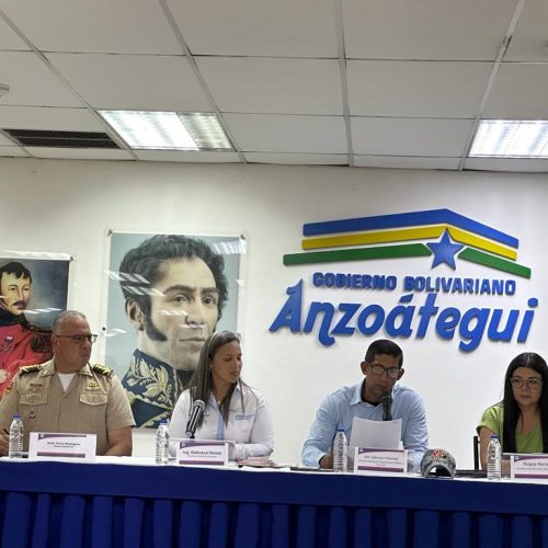 Ministro Villarroel llama a los anzoatiguenses a participar en Referéndum del 3D