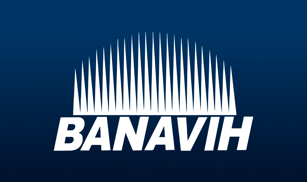 Banco Nacional de la Vivienda y Hábitat (BANAVIH)